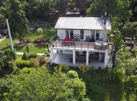 Honey Spa house，位于Novi Slankamen的酒店