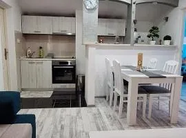 Apartment Elena