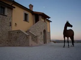 Agriturismo Il Moro