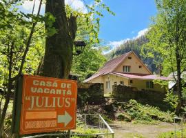 Casa de vacanta Julius，位于帕迪斯的山林小屋