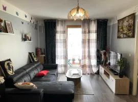 Large Duplex Close to Orly airport and Paris via Metro 14