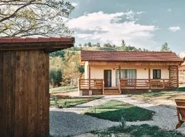 Transylvania Forest Haven-Luxury Tiny Cabin