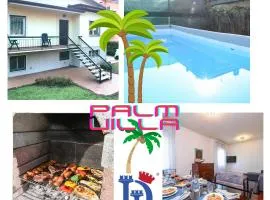 DesenzanoLoft Villa Palm Garda Beach, with garden, barbecue and pool
