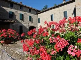 B&B Cortebonomini apartment