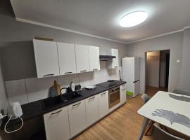 Apartament w Kamienicy w Centrum Kalisza，位于卡利什的酒店