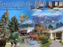 Green Village B&B，位于卡尔加里的民宿