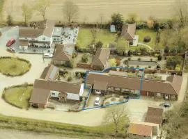 Primroses, Wood Farm