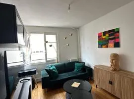 Appartement 2 pièces lumineux