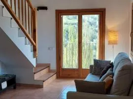 Apartament Rural Burg