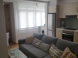 Precioso Apartamento en Baiona Zona Centro，位于巴约讷的酒店