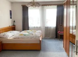 Apartment near Linz