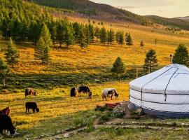 Dream Adventure Mongolia，位于Nalayh的酒店