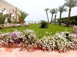 Cecelia Suites Hurghada