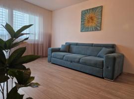 Turquoise apartment，位于彼得罗沙尼的酒店
