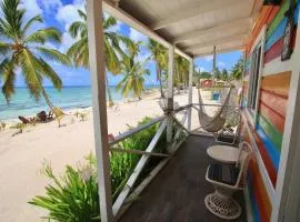 乡村埃尔帕拉伊索德绍纳住宿加早餐旅馆