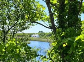 River Cottage, Clifden