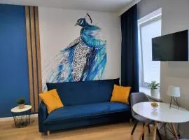 Noclegi Duet House Green Harmony Studio wejście na kod CENTRUM Ptak, Orientarium, Mandoria, Fala, Centrum Zdrowia Matki Polki, bezpłatny parking, klimatyzacja