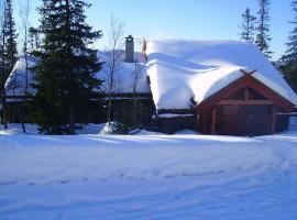 Bekkeli; Mountain cabin, amazing view - ski in - ski out, golf, hike, bike,, fishing,，位于Nes的乡村别墅