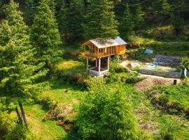 Stargazing Treehouse Himachal，位于Sainj的酒店