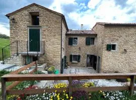 Monte Cuccolo House B&B