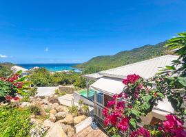 Villa Romane private pool breathtaking sea view，位于Anse Marcel 的酒店