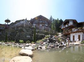 Schönblick Hohenbogen，位于诺伊基兴的酒店