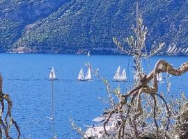 MariGarda Apartments，位于阿森扎迪布伦佐内的别墅