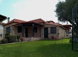 Olive tree villa