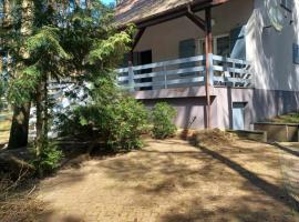 Domek pod Sosnami nad jeziorem Głuszyńskim，位于Piotrków Kujawski的酒店