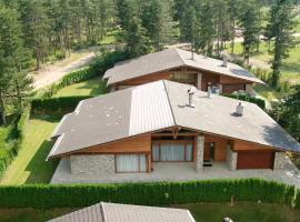 Villa Katerina Deluxe - Pirin Golf and Country Club，位于班斯科的别墅