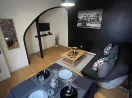 Appartement spacieux & lumineux proche paris