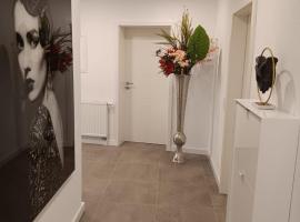 Ferienwohnung Zimmermann，位于巴特尚道的低价酒店