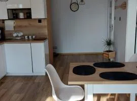 Apartament Morski nr 4 Baltic Nova