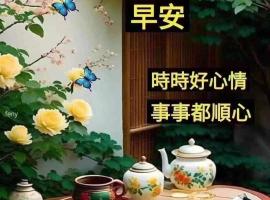 aladdinhotel，位于开罗的酒店
