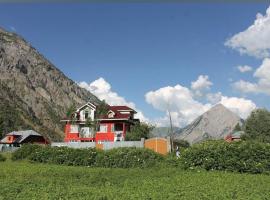 ALPINE Resort，位于Kanzalwan的酒店