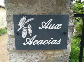 Aux Acacias，位于Braye-sous-Faye的家庭/亲子酒店