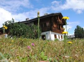 Bündnerchalet im Herz der Schweizer Alpen，位于迪森蒂斯的度假屋