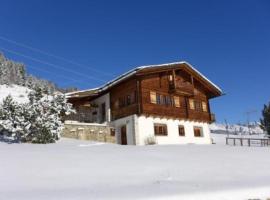 Bündnerchalet im Herz der Schweizer Alpen，位于迪森蒂斯的酒店