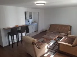 Hasan's apartment - holiday house - vikendica - kuća za odmor - apartman