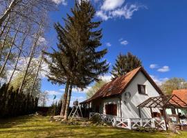 Uroczy dom nad jeziorem Śniardwy tuż obok plaży，位于新古提的自助式住宿