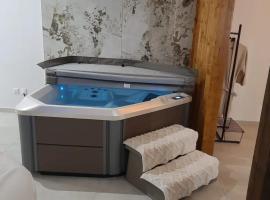 Appartement d'une chambre avec jacuzzi terrasse et wifi a Duppigheim，位于Duppigheim的酒店