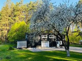 Pušyno apartamentai