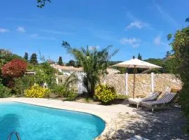 Villa Fruitier with pool at 15m from the Beach