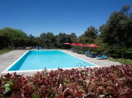 皮拉斯特鲁山招待所