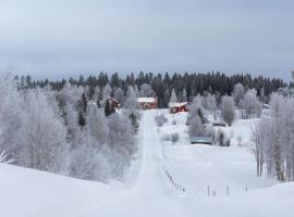 Öravattnet Country House，位于Borgvattnet的乡间豪华旅馆