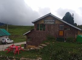 Hotel Nagview Cottage, Jammu and Kashmir，位于古尔马尔格的乡村别墅