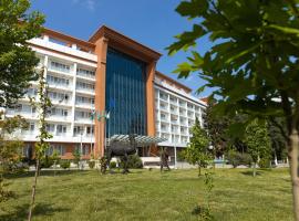 Chinar Hotel & Spa Naftalan，位于纳夫塔兰Goran Stansiyası附近的酒店