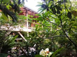 Sanpopo Tree Top Cottage - A Gold Standard Tourism Approved Vacation Home，位于圣伊格纳西奥的公寓