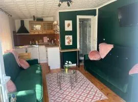 Apartament zielony nad jeziorem PZW Kazub