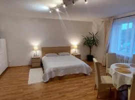 Apartamentai šalia baseino